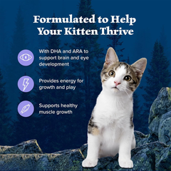 Blue Buffalo Wilderness Natural Kitten Dry Cat Food, with DHA and ARA to Support Brain and Eye Development, High-Protein and Grain-Free Diet, Chicken