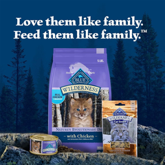 Blue Buffalo Wilderness Natural Kitten Dry Cat Food, with DHA and ARA to Support Brain and Eye Development, High-Protein and Grain-Free Diet, Chicken