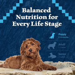 Blue Buffalo Wilderness Puppy High Protein Dry Dog Food With Real Chicken Plus Wholesome Grains, Made in the USA with Natural Ingredients, Chicken