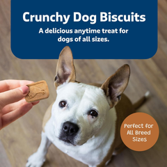 Blue Buffalo Health Bars Crunchy Dog Biscuits, Oven-Baked With Natural Ingredients, Pumpkin & Cinnamon