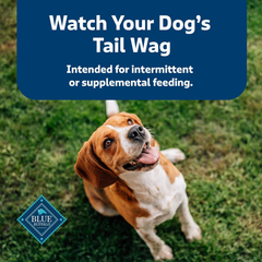 Blue Buffalo Health Bars Crunchy Dog Biscuits, Oven-Baked With Natural Ingredients, Pumpkin & Cinnamon