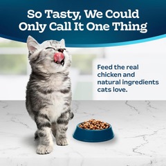 Blue Buffalo Tastefuls Kitten Food With DHA Dry Cat Food Made in the USA with Natural Ingredients, Chicken Recipe