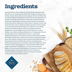 Blue Buffalo Tastefuls Kitten Food With DHA Dry Cat Food Made in the USA with Natural Ingredients, Chicken Recipe