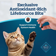 Blue Buffalo Tastefuls Kitten Food With DHA Dry Cat Food Made in the USA with Natural Ingredients, Chicken Recipe