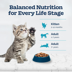 Blue Buffalo Tastefuls Kitten Food With DHA Dry Cat Food Made in the USA with Natural Ingredients, Chicken Recipe