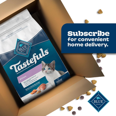 Blue Buffalo Tastefuls Kitten Food With DHA Dry Cat Food Made in the USA with Natural Ingredients, Chicken Recipe