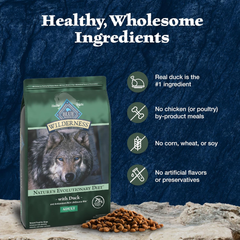 Blue Buffalo Wilderness Natural High-Protein Dry Food for Adult Dogs, with Wholesome Grains, Duck