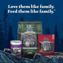 Blue Buffalo Wilderness Natural High-Protein Dry Food for Adult Dogs, with Wholesome Grains, Duck