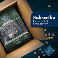 Blue Buffalo Wilderness Natural High-Protein Dry Food for Adult Dogs, with Wholesome Grains, Duck