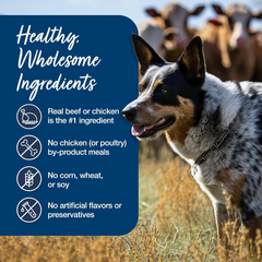 Blue Buffalo Blue's Stew Natural Wet Dog Food, Made with Natural Ingredients, Hearty Beef and Country Chicken Variety Pack