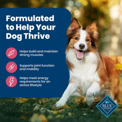 Blue Buffalo Life Protection Formula Adult Dry Dog Food, Helps Build and Maintain Strong Muscles, Made with Natural Ingredients, Salmon & Brown Rice Recipe