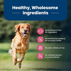 Blue Buffalo Life Protection Formula Adult Dry Dog Food, Helps Build and Maintain Strong Muscles, Made with Natural Ingredients, Salmon & Brown Rice Recipe