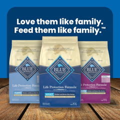 Blue Buffalo Life Protection Formula Adult Dry Dog Food, Helps Build and Maintain Strong Muscles, Made with Natural Ingredients, Salmon & Brown Rice Recipe