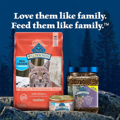 Blue Buffalo Wilderness Adult Indoor Dry Cat Food, Indoor Hairball Control and Weight Control Formula, High-Protein and Grain-Free Diet, Made with Natural Ingredients, Chicken