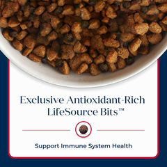 Blue Buffalo Basics Grain-Free Dry Dog Food for Adult Dogs, Limited Ingredient Diet, Salmon Recipe