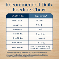 Blue Buffalo Basics Grain-Free Dry Dog Food for Adult Dogs, Limited Ingredient Diet, Salmon Recipe