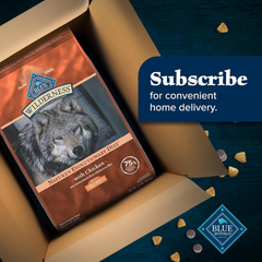 Blue Buffalo Wilderness Large Breed Adult Dry Dog Food Wholesome Grains Natural Ingredients Chicken