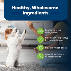 Blue Buffalo Life Protection Formula Adult Small Breed Dry Dog Food, Supports High Energy Needs, Made with Natural Ingredients, Lamb & Brown Rice Recipe