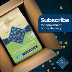 Blue Buffalo Life Protection Formula Adult Small Breed Dry Dog Food, Supports High Energy Needs, Made with Natural Ingredients, Lamb & Brown Rice Recipe