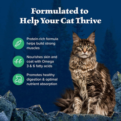 Blue Buffalo Wilderness Nature's Evolutionary Diet High-Protein, Grain-Free Natural Dry Food for Adult Cats, Duck