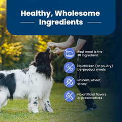 Blue Buffalo Life Protection Formula Healthy Weight Large Breed Adult Dry Dog Food for Weight Control, Made with Natural Ingredients, Chicken & Brown Rice Recipe