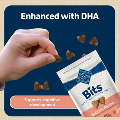 Blue Buffalo Bits Soft Dog Treats for Training, Made with Natural Ingredients & Enhanced with DHA, Salmon Recipe