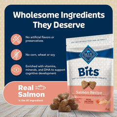 Blue Buffalo Bits Soft Dog Treats for Training, Made with Natural Ingredients & Enhanced with DHA, Salmon Recipe