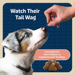 Blue Buffalo Bits Soft Dog Treats for Training, Made with Natural Ingredients & Enhanced with DHA, Salmon Recipe