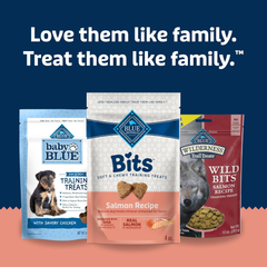Blue Buffalo Bits Soft Dog Treats for Training, Made with Natural Ingredients & Enhanced with DHA, Salmon Recipe