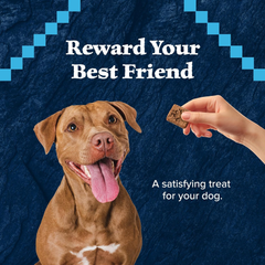 Blue Buffalo Wilderness Trail Treats High Protein Grain Free Dog Biscuits Crunchy Dog Treats, Turkey Recipe