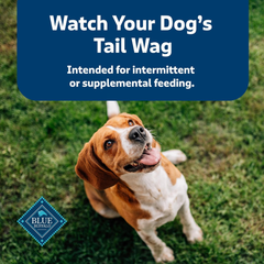 Blue Buffalo Health Bars Crunchy Dog Biscuits, Oven-Baked With Natural Ingredients, Beef