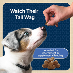 Blue Buffalo BLUE Bits Natural Soft-Moist Training Dog Treats, Chicken Recipe
