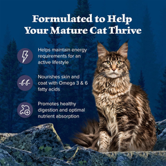 Blue Buffalo Wilderness Natural Mature Dry Cat Food for Cats 7+ Years, High-Protein and Grain-Free Diet, Supports Immune System Health and Energy to Stay Active, Chicken