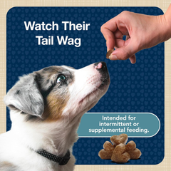 Blue Buffalo Bits Soft Dog Treats for Training, Made With Natural Ingredients & Enhanced with DHA, Turkey Recipe