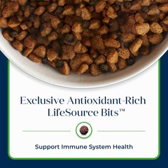 Blue Buffalo Basics Grain-Free Dry Dog Food for Adult Dogs, Limited Ingredient Diet, Lamb Recipe