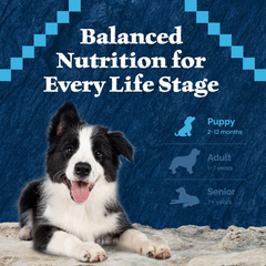 Blue Buffalo Wilderness High-Protein Rocky Mountain Recipe Dry Food for Puppies, Red Meat & Grains