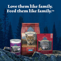 Blue Buffalo Wilderness High-Protein Rocky Mountain Recipe Dry Food for Puppies, Red Meat & Grains