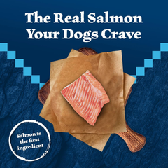 Blue Buffalo Wilderness Wild Bits Soft & Chewy Training Treats for Dogs, Grain-Free, Salmon Recipe