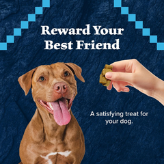 Blue Buffalo Wilderness Wild Bits Soft & Chewy Training Treats for Dogs, Grain-Free, Salmon Recipe