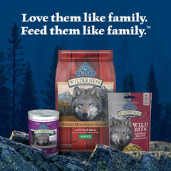 Blue Buffalo Wilderness Wild Bits Soft & Chewy Training Treats for Dogs, Grain-Free, Salmon Recipe