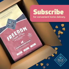 Blue Buffalo Freedom Grain-Free Small Breed Dry Dog Food, Supports High Energy Needs, Made in the USA With Natural Ingredients, Chicken & Potatoes