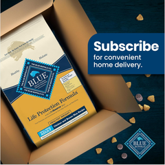 Blue Buffalo Life Protection Formula Healthy Weight Natural Small Breed Dry Dog Food, Supports an Ideal Weight, Made with Natural Ingredients, Chicken & Brown Rice Recipe