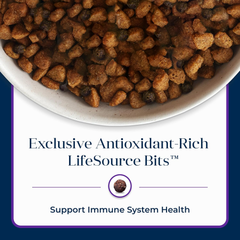 Blue Buffalo Basics Grain-Free Adult Dry Dog Food, Skin & Stomach Care, Limited Ingredient Diet for Dogs, Turkey Recipe