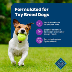 Blue Buffalo Life Protection Formula Toy Breed Adult Dry Dog Food, Supports High Energy Needs, Made with Natural Ingredients, Chicken & Brown Rice Recipe