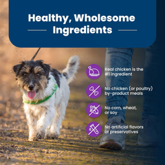 Blue Buffalo Life Protection Formula Toy Breed Adult Dry Dog Food, Supports High Energy Needs, Made with Natural Ingredients, Chicken & Brown Rice Recipe