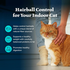 Blue Buffalo Wilderness Natural Hairball Care Dry Cat Food for Indoor Cats, High-Protein & Grain-Free Formula, Chicken