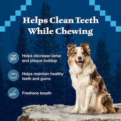 Blue Buffalo Wilderness Trail Treats Wild Bones Large Dental Chews, Grain-Free Dog Bones For Large Dogs Made with Natural Ingredients