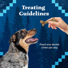 Blue Buffalo Wilderness Trail Treats Wild Bones Large Dental Chews, Grain-Free Dog Bones For Large Dogs Made with Natural Ingredients