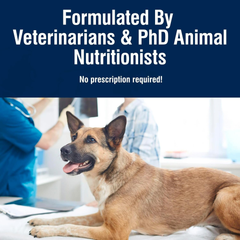 Blue Buffalo True Solutions Mobility Care Natural Dry Dog Food for Adult Dogs, Chicken