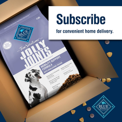 Blue Buffalo True Solutions Mobility Care Natural Dry Dog Food for Adult Dogs, Chicken